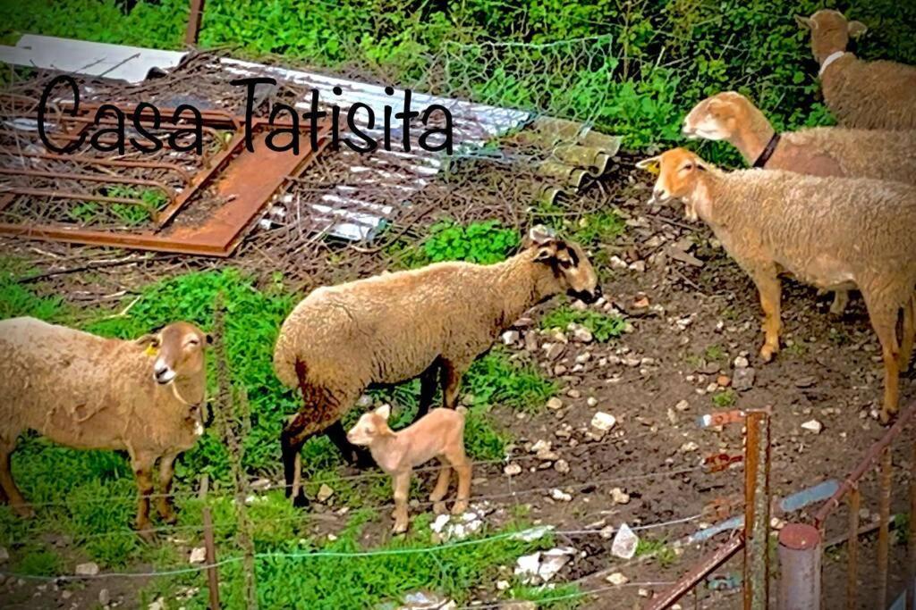 Casa Tatisita Buhardilla Daire Segura de la Sierra Dış mekan fotoğraf