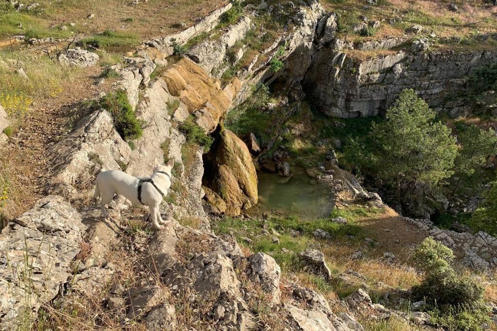 Casa Tatisita Buhardilla Daire Segura de la Sierra Dış mekan fotoğraf