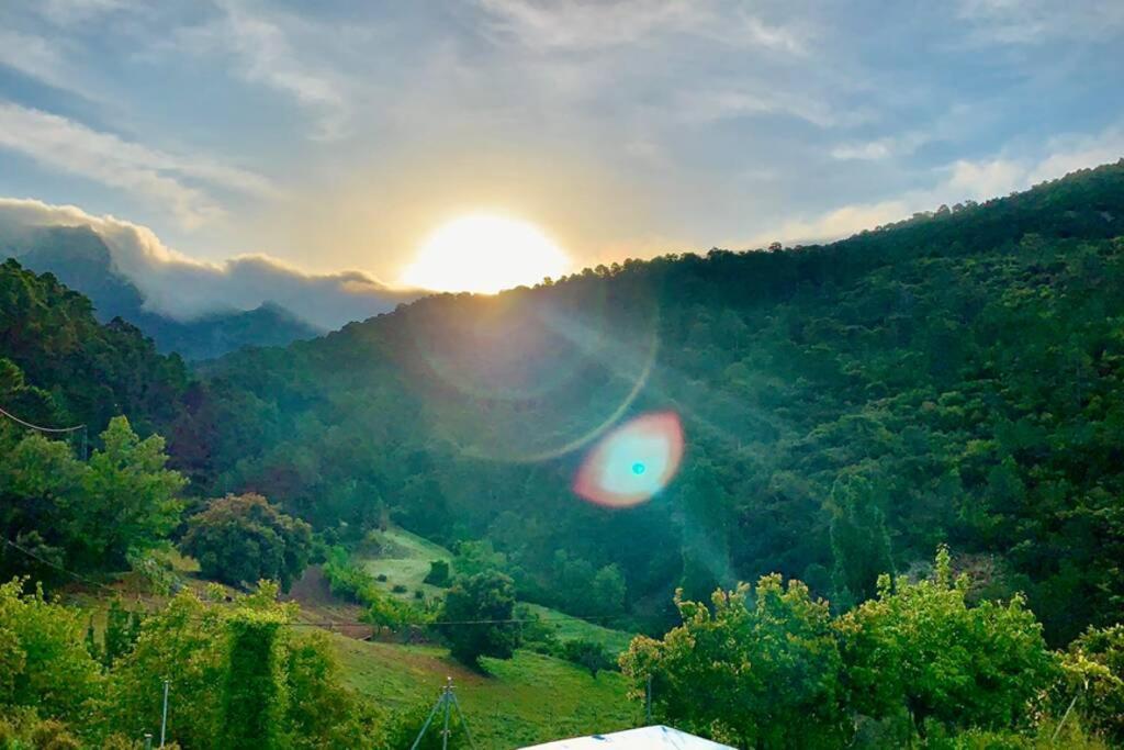 Casa Tatisita Buhardilla Daire Segura de la Sierra Dış mekan fotoğraf
